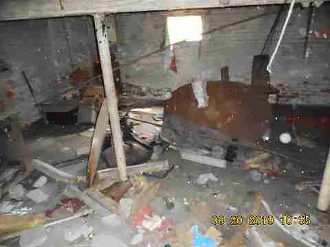 7544 Hafeli (27)_m.jpg